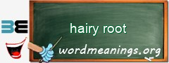 WordMeaning blackboard for hairy root